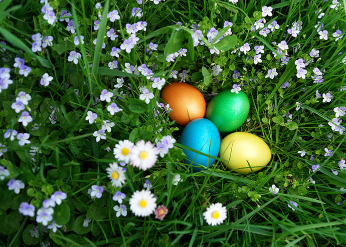 ostern1.jpg